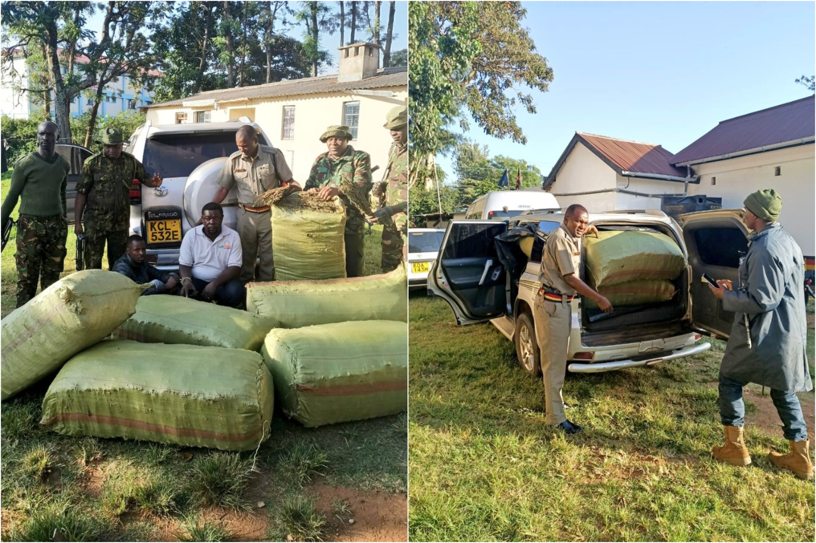 Photo collage of six bags of bhang seized in Migori County.